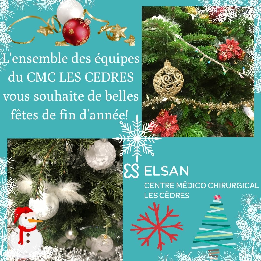 CMC LES CEDRES vous souhaite de belles fetes de fin d'année