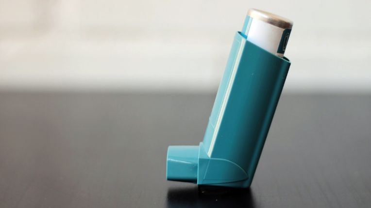 photo de linhalateur