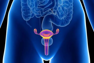 Opération cancer de l'utérus par Robot Da Vinci par Robot Da Vinci à la clinique Ambroise 