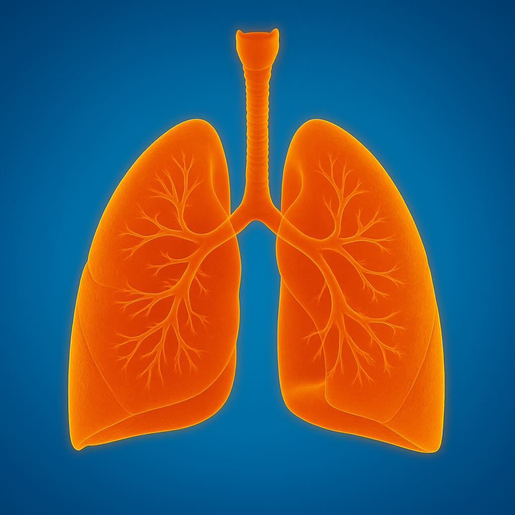 illustration des poumons pour opération par le Robot Da Vinci 