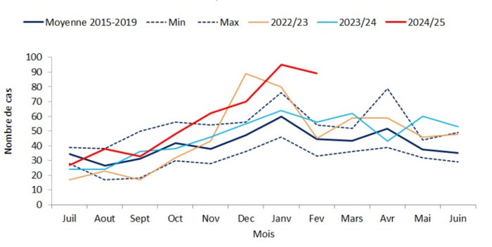 Infection à méningocoque : augmentation en 2025. Graphique montrant la progression des cas entre 2022 et 2025. La courbe 2024-2025 est nettement en haut.