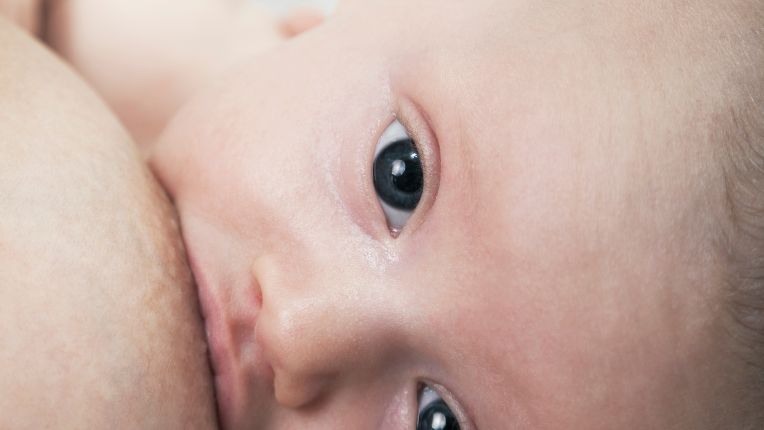 Ocytocine : hormone du bonheur, de l’amour et de l’accouchement. Gros plan sur un nourrisson en train de téter le sein.