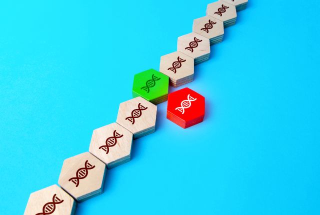 Suite de jetons figurant un brin d'ADN subissant une mutation. Elle illustre les modifications génétiques qui peuvent, par exemple, causer une porphyrie.