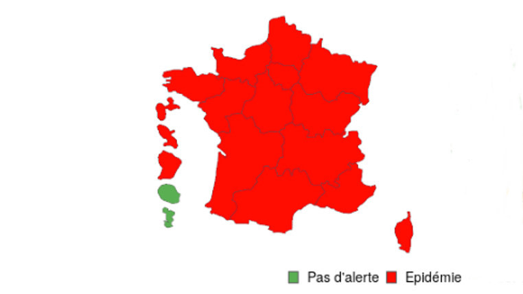 Test antigénique Covid 19 et grippe fabriqué en France