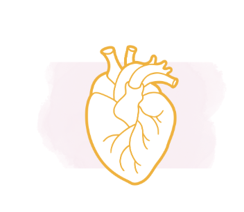 Parcours HDJ : dépistage des fragilités cardiovasculaires de la femme