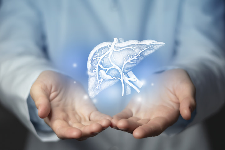 Nos offres autour du foie, pancréas, vésicule biliaire