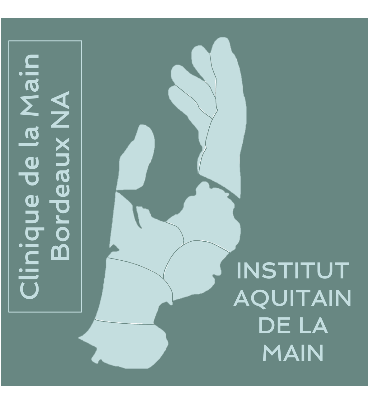 Logo Institut Aquitain de la Main