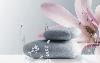 LES SOINS DE SUPPORT 