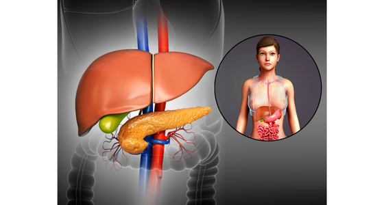 cancer du foie symptomes