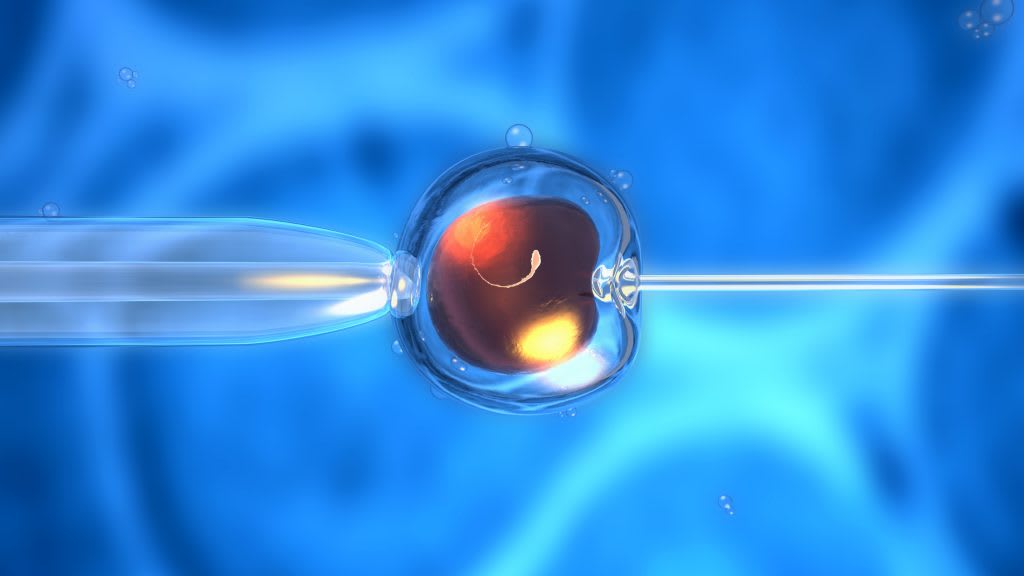 Centre de fertilité