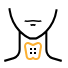 endocrino