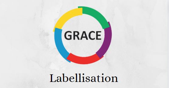 L’équipe Flandre Orthopédie et la Clinique de Flandre obtiennent pour ...