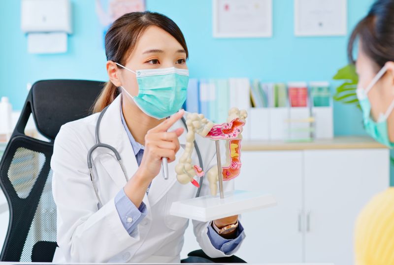 Dépistage du côlon : image d'un médecin montrant une maquette du côlon humain