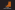 capture1200x300.png