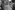 l1034209_1300x200.jpg