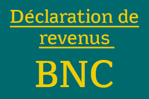 declarez_bnc.png