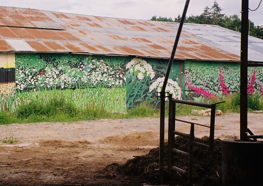 cimaises ADAGP Samuel Bosseur vernissage décembre 2022 tôle art urbain landes
