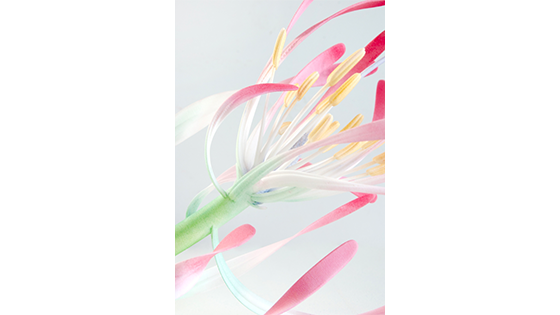 cimaises ADAGP Alexis Foiny vernissage février 2023 design révélation école des arts décoratifs paris