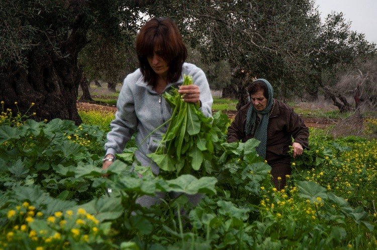 cimaises ADAGP Samer Selbak vernissage paris décembre noël 2023 design révélation ensad école des arts déco France