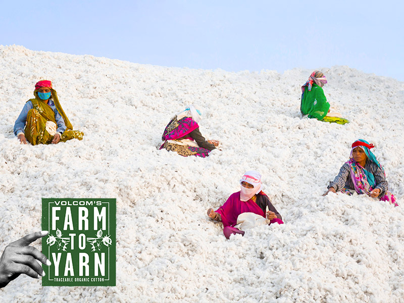women sitting in cotton