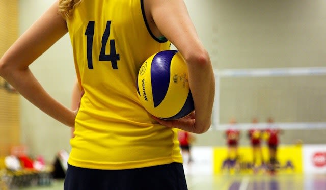 Die perfekte Ausrüstung zum Volleyball - das brauchst du - Foto: pixabay