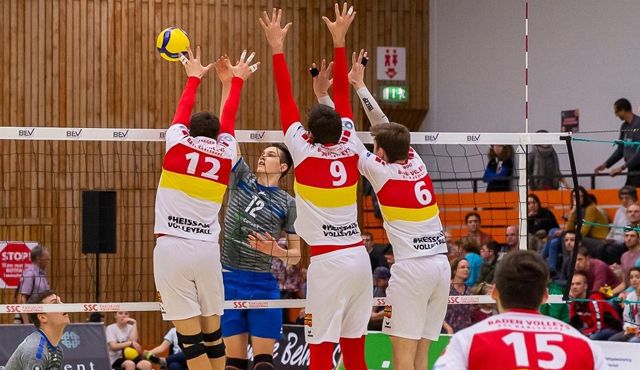 BADEN VOLLEYS SSC Karlsruhe reichen Lizenzantrag für zweite Bundesliga ein Foto: Andreas Arndt BADEN VOLLEYS SSC Karlsruhe reichen Lizenzantrag für zweite Bundesliga ein - Foto: Andreas Arndt