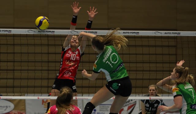 proWIN mit klarer Niederlage gegen Grimma Foto: SV Lohhof proWIN mit klarer Niederlage gegen Grimma - Foto: SV Lohhof