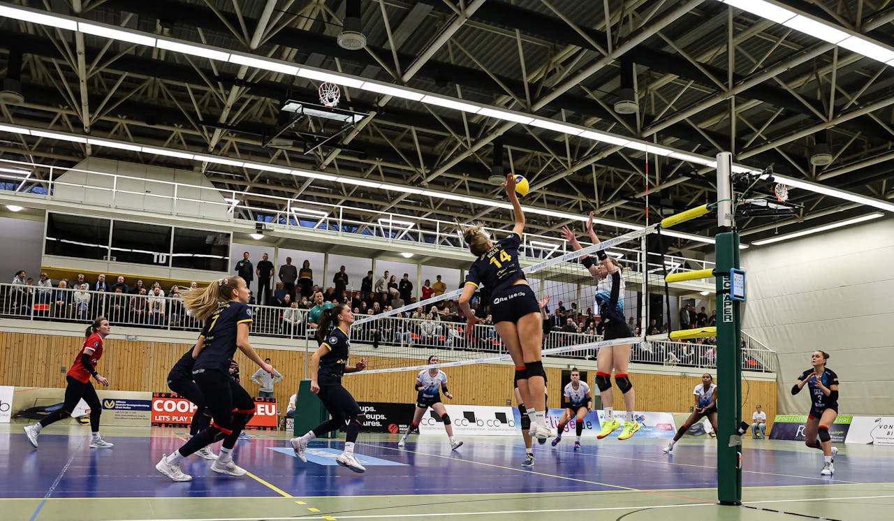 DSHS SnowTrex Köln mit letztem Heimspiel im Jahr 2024 gegen Skurios Volleys Borken - Foto: Florian Zons