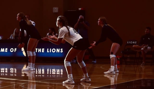 Die 6 besten Videospiele für Volleyballspieler Photo by Unsplash Die 6 besten Videospiele für Volleyballspieler - Photo by Unsplash