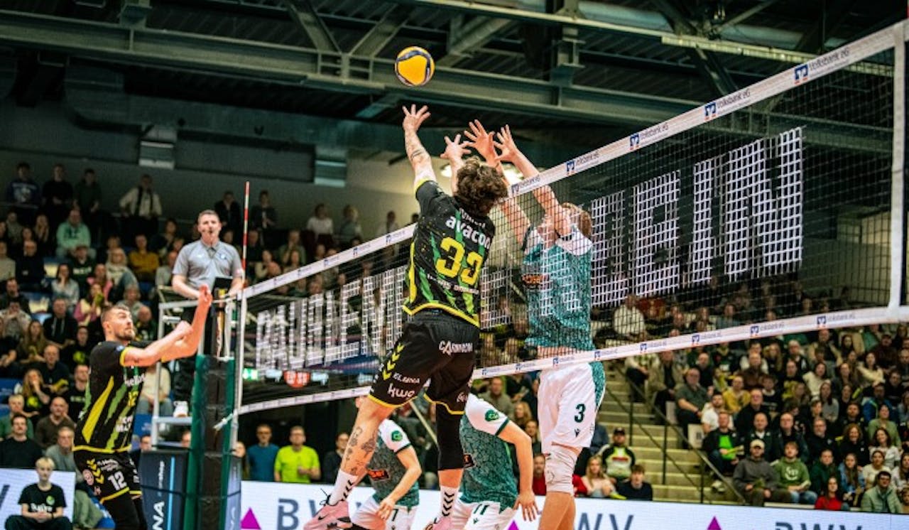 Affen klauen nur einen Satz - Foto:  Elisabeth Kloth