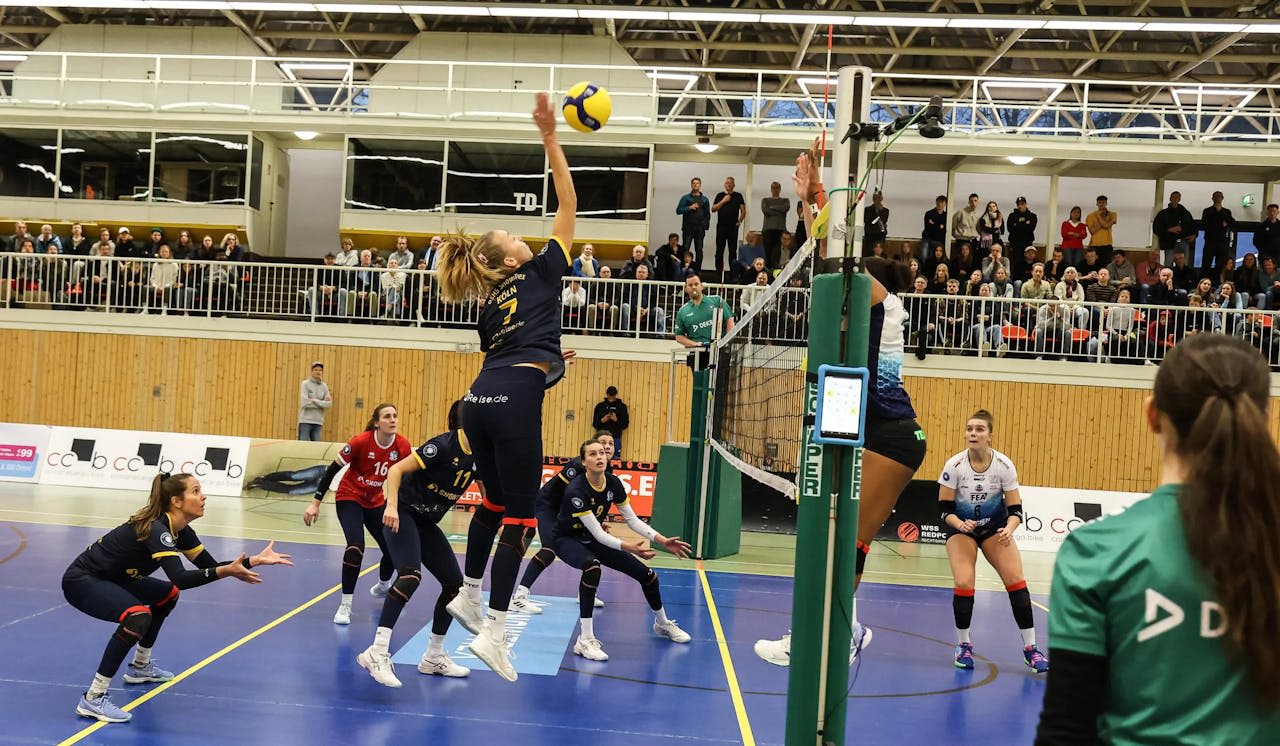 DSHS SnowTrex Köln gewinnt auch gegen VCO Dresden - Foto: Florian Zons