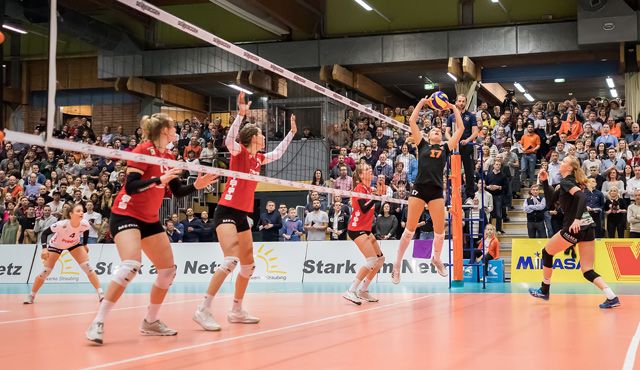 Am Samstag Saisoneröffnung von NawaRo Straubing gegen Stuttgart Foto: Schindler Am Samstag Saisoneröffnung von NawaRo Straubing gegen Stuttgart - Foto: Schindler