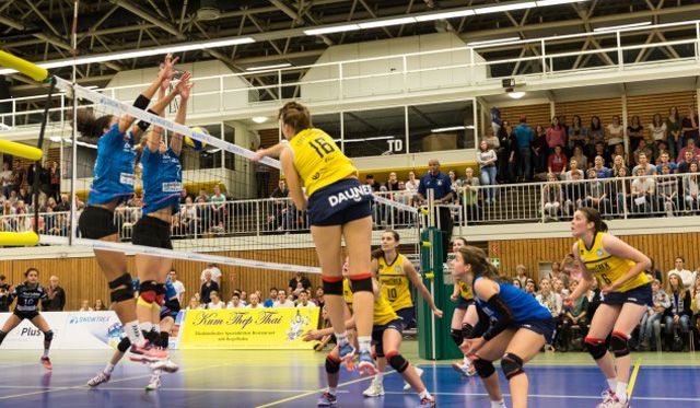 DSHS SnowTrex Köln erwartet den Liganeuling Bremen Foto: Martin Miseré DSHS SnowTrex Köln erwartet den Liganeuling Bremen - Foto: Martin Miseré