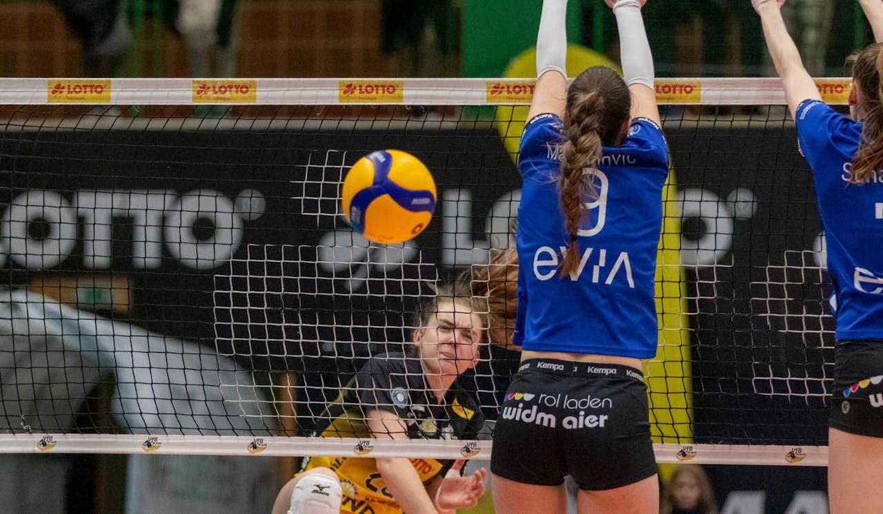 Blaubären leider ohne Erfolg - Foto:  Stephan Roßteuscher