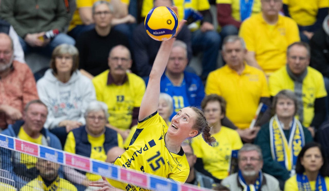 Schwerin empfängt Binder Blaubären - Foto:  Michael Dittmer