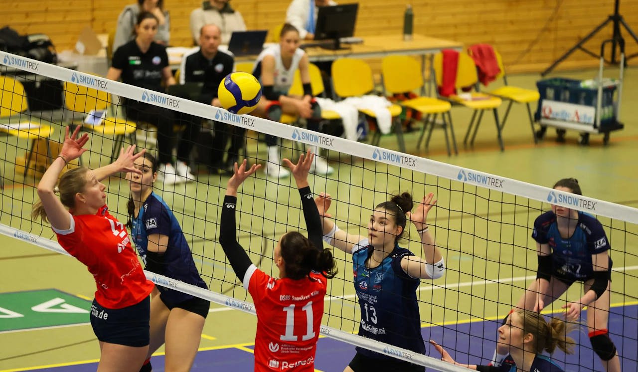 Doppelspielwochende in Köln - Teil 2 - VCO Dresden zu Gast bei DSHS SnowTrex Köln - Foto: Florian Zons