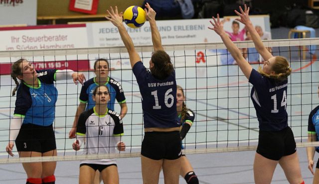 Volleyball-Team Hamburg reist mit Selbstvertrauen nach Potsdam - Foto: VTH Lehmann