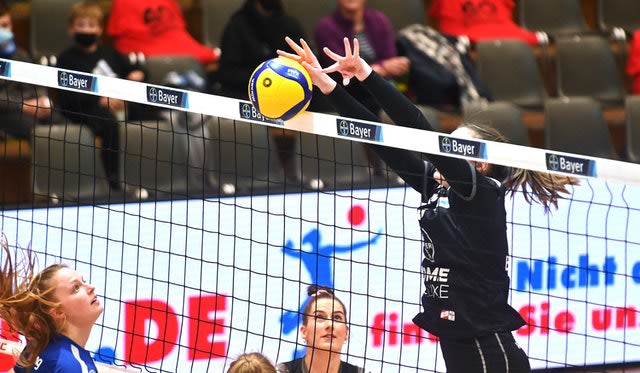 Zwei Siege ohne Mühe für die Volleys Foto: mowy.de Zwei Siege ohne Mühe für die Volleys - Foto: mowy.de