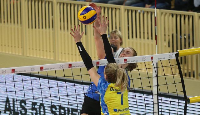 Kein leichtes Los: VC Wiesbaden trifft im DVV-Pokal auf Schwerin Foto: Detlef Gottwald Kein leichtes Los: VC Wiesbaden trifft im DVV-Pokal auf Schwerin - Foto: Detlef Gottwald