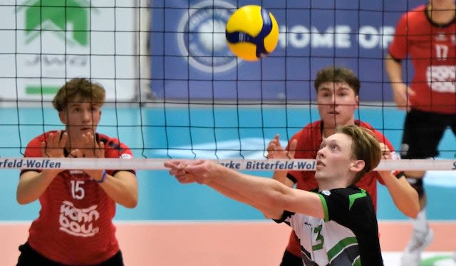 Hält der Höhenflug an? - Foto:  Danny Pockrandt | miografico