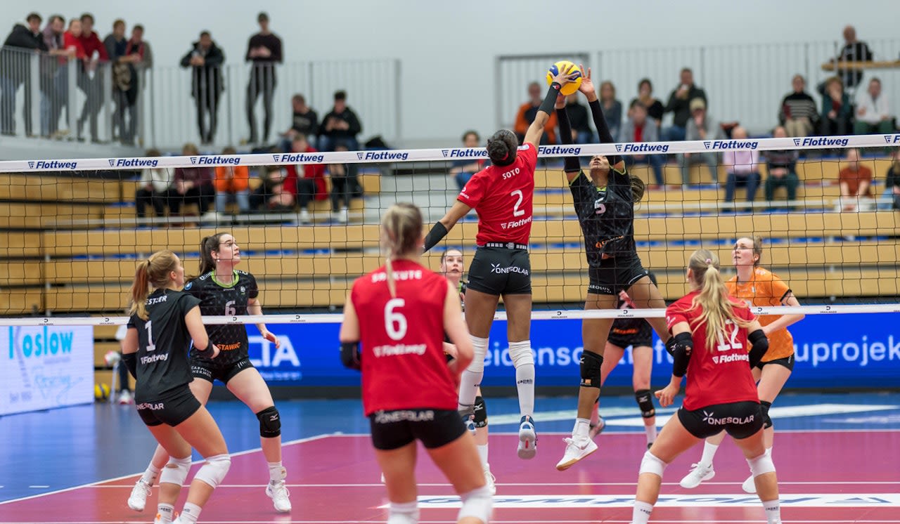 Erstmals ohne Punkt in der Zwischenrunde - Foto:  Rote Raben Vilsbiburg