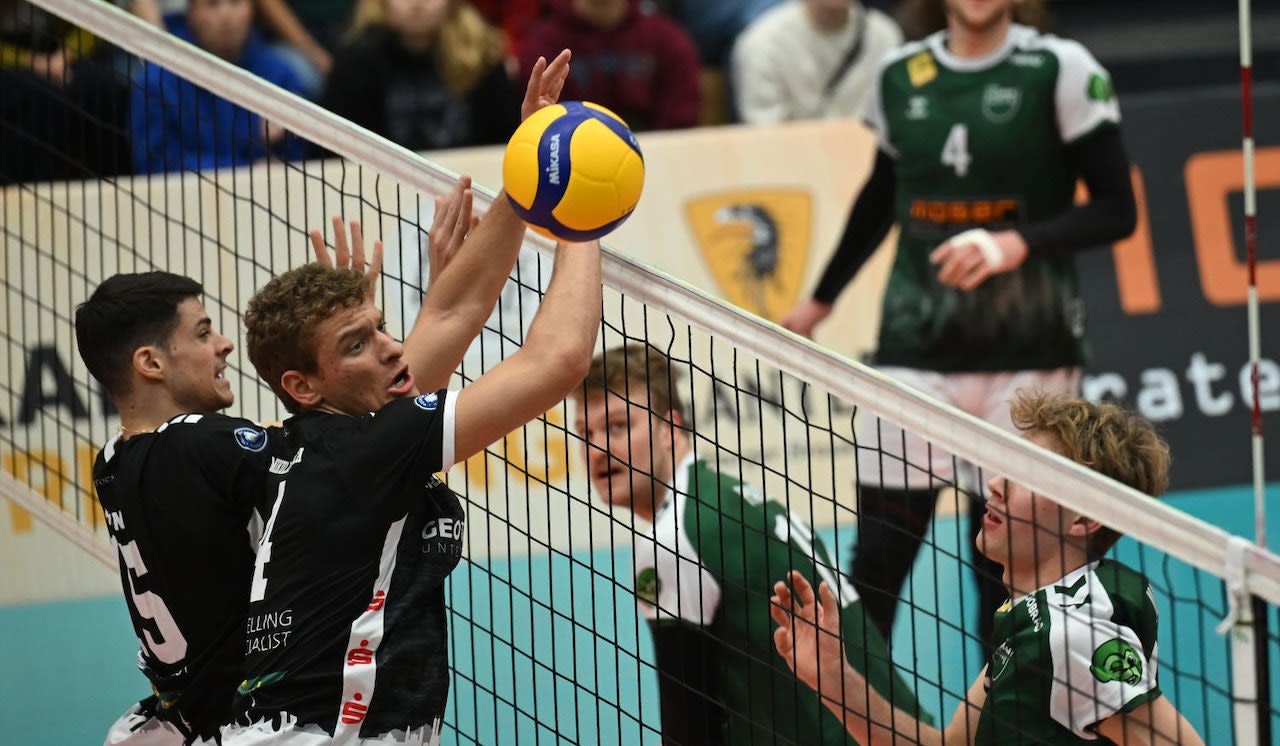 Die Affenbande kommt! - Foto:  Florian Schneider