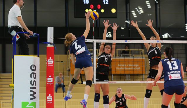VC Wiesbaden startet in die Saisonvorbereitung Foto: Detlef Gottwald VC Wiesbaden startet in die Saisonvorbereitung - Foto: Detlef Gottwald