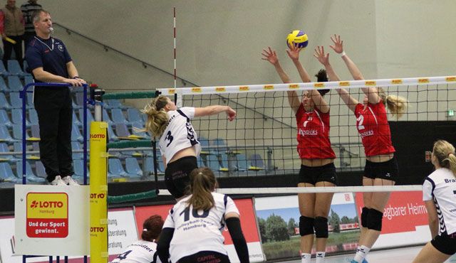 Volleyball-Team Hamburg empfängt die zweite Mannschaft des Köpenicker SC Foto: VTH/Lehmann Volleyball-Team Hamburg empfängt die zweite Mannschaft des Köpenicker SC - Foto: VTH/Lehmann
