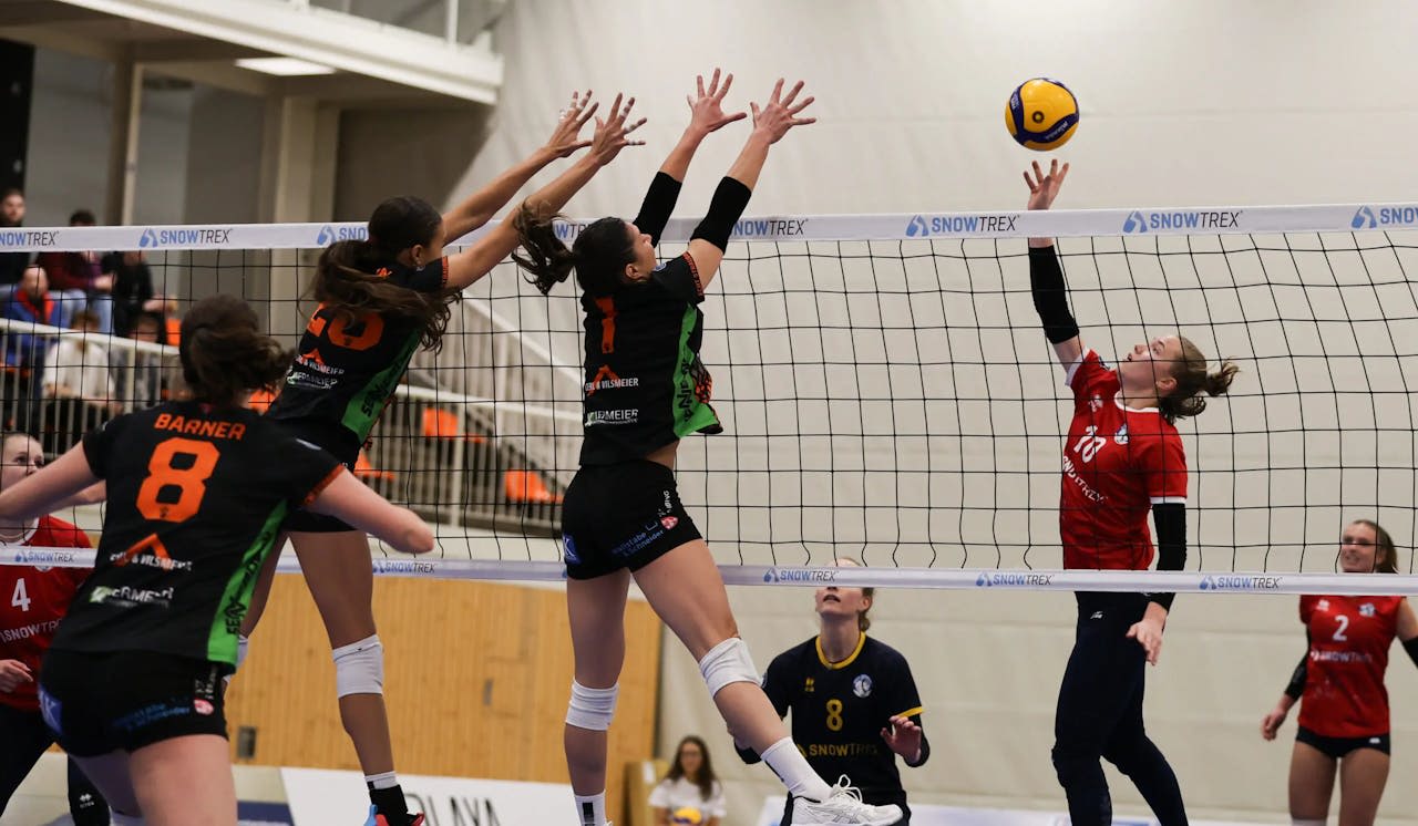 Starker Auftakt, bitteres Ende - DSHS SnowTrex Köln verliert 1:3 gegen NawaRo Straubing - Foto: Florian Zons