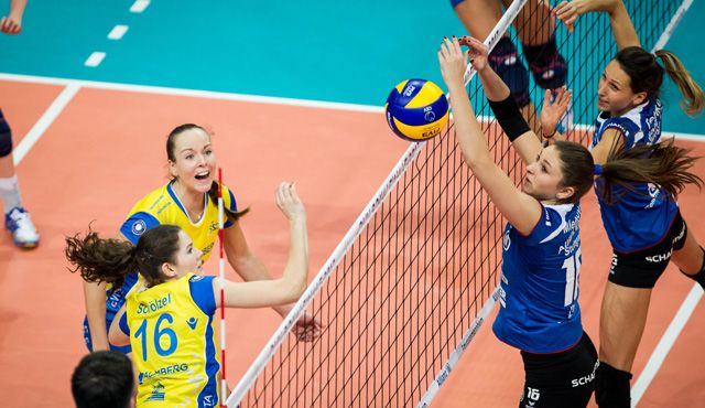 Diese Supercup-Schmetterlinge spielen in Baku und Hannover Foto: Nils Wüchner, nils-wuechner.de Diese Supercup-Schmetterlinge spielen in Baku und Hannover - Foto: Nils Wüchner, nils-wuechner.de