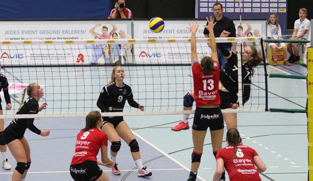 Volleyball-Team Hamburg verliert gegen den Vizemeister Foto: VTH Lehmann Volleyball-Team Hamburg verliert gegen den Vizemeister - Foto: VTH Lehmann
