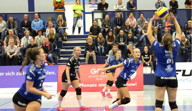 Volleyballleckerbissen zum Jahresabschluss - 