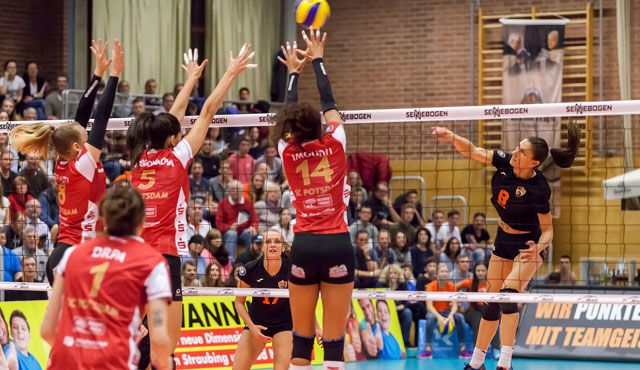 NawaRo beantragt Lizenz für die 1. Volleyball Bundesliga - Foto: Schindler