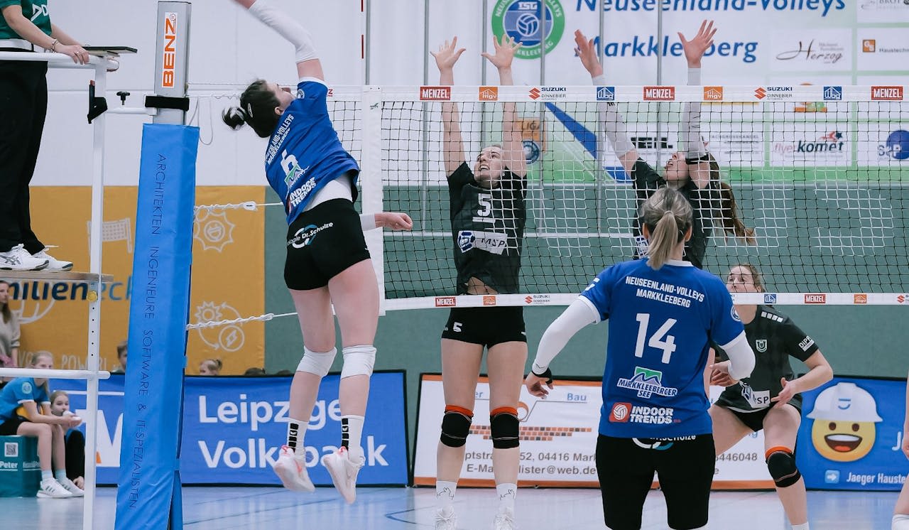 Aller (sehr) guten Dinge sind drei! Foto: Steve Patzwaldt Aller (sehr) guten Dinge sind drei! - Foto: Steve Patzwaldt